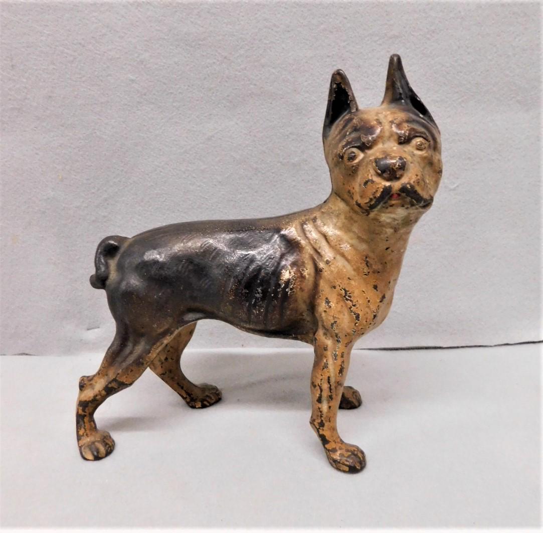 Early Iron English Bulldog Drstop: Early Cast Iron Boston Terrier Drstop in Gd. Cond.