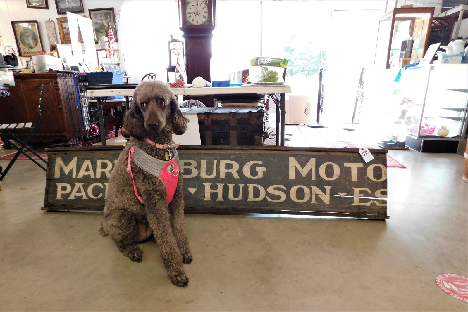 Packard  - Hudson  - Essex Sign (1 of 3)