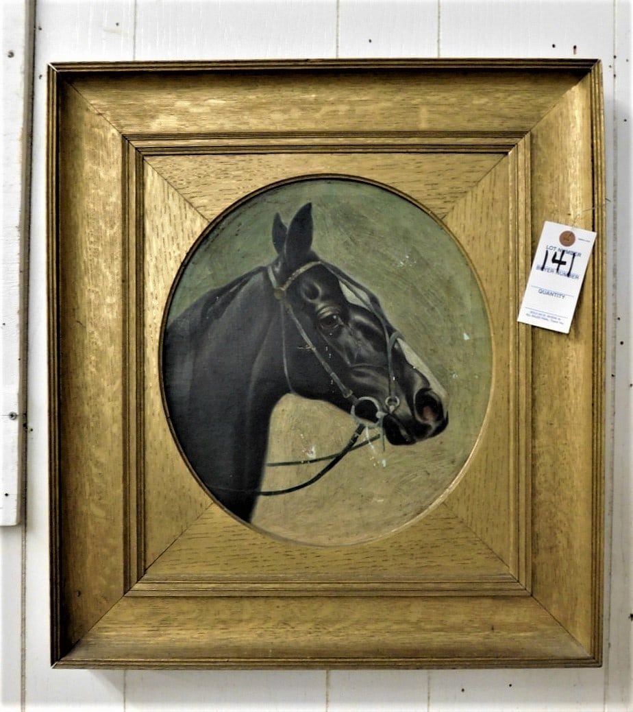 O/C Portrait of Horse Head: O/C Portrait of Horse Head in Deep Oak Frame in GD Cond (O/C Only 16"x 14" ) - w/Frame 22" x 20"
