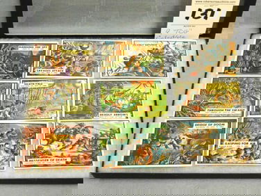 9 "TCG" Collectible Cards