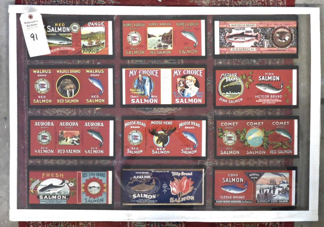 12 Red Salmon Fish Post Cards: 12 Red Salmon Decorative Fish Postcards Mounted Between Plexiglass For Display in GD Cond. - Display 25"x 36", Ea. Post Card 5" x 10"