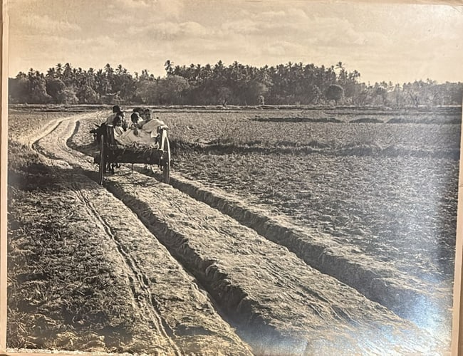 GIRISH S. VENGURLEKAR, RARE EXHIBITED PHOTOGRAPH, 1979, PHOTOGRAPHIC PRINT (1 of 2)
