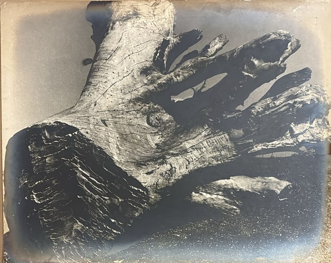 GIRISH S. VENGURLEKAR, RARE EXHIBITED PHOTOGRAPH, 1963, PHOTOGRAPHIC PRINT: GIRISH S. VENGURLEKAR, RARE EXHIBITED PHOTOGRAPH, 1963, PHOTOGRAPHIC PRINT. A STRIKING PHOTOGRAPH SHOWCASED AT THE INDIAN SALON, CALCUTTA IN 1963. A RARE ADDITION TO ANY FINE ART PHOTOGRAPHY