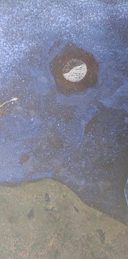 GANESH PYNE (1937–2013) UNTITLED TEMPERA ON PAPER 22 × 15 IN SIGNED LOWER RIGHT 2002 - 4