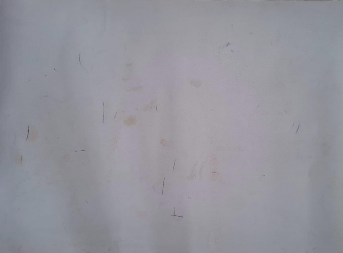 JOGEN CHOWDHURY (B. 1939) INK & PASTEL ON PAPER UNTITLED 22 X 30 IN SIGNED AND DATED 2006 - 6