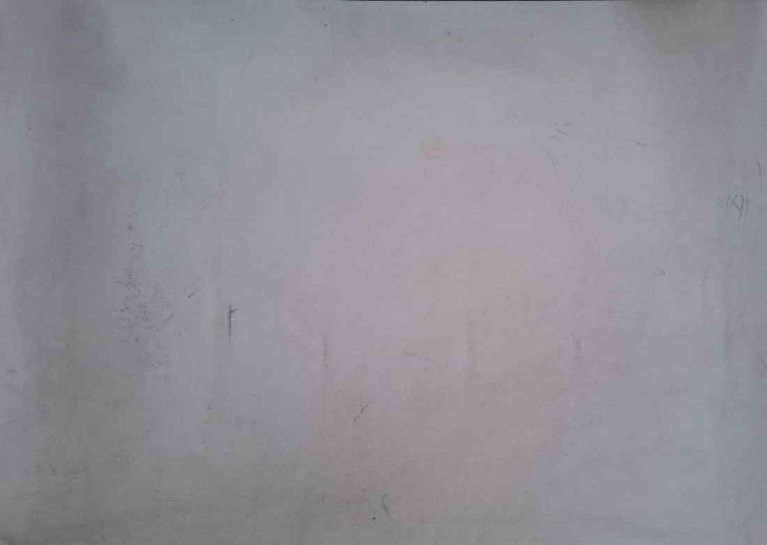 JOGEN CHOWDHURY (B. 1939) INK & PASTEL ON PAPER UNTITLED 22 × 30 IN SIGNED AND DATED 2007 - 5