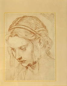 Andrea del Sarto, "Study of the Head of a Young Woman", ca.1523 - 20" x 17" (1 of 5)