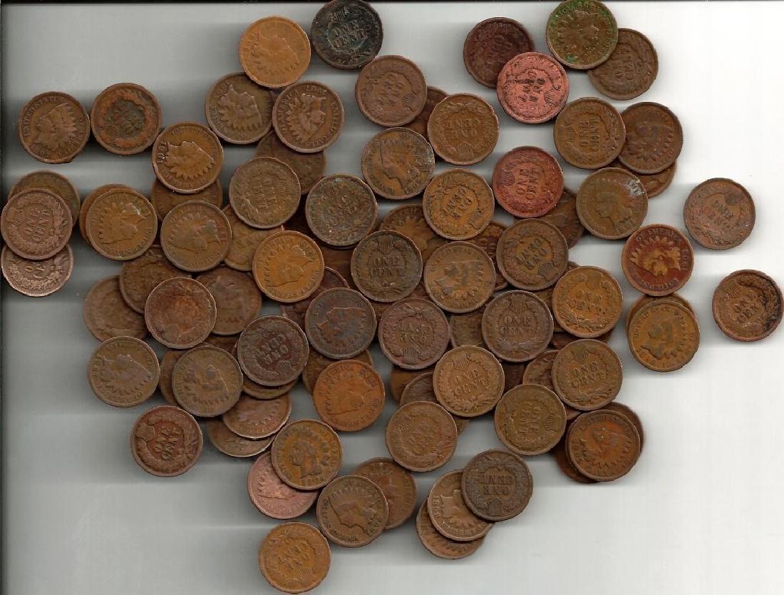 Lot of (50) Indian Head Cents (1 of 1)
