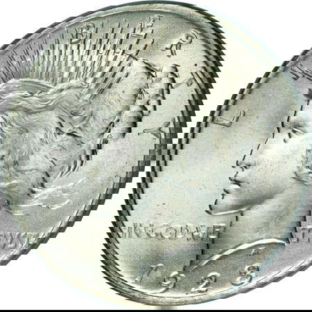 1923 Peace Silver Dollar: US Asset Forfeiture & Seizures Acquisitions. Fresh to the market items, non auction circuit merchandise. Investment opportunity- Please view our website for futuresales, buy it now items, feedback, qu