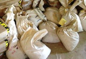 Bank Bag #9 Full of (202) Unsearched Morgans -: This lot has come to us tied up in a bank bag - We have thirteen of them, based upon weight and the outer count markings, we are selling them as is. UN opened! Un searched by us! All we do is count th