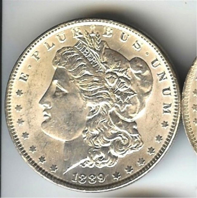 1889 P Morgan Silver Dollar: This lot is as shown and graded by the previous owner, whether it is hand graded or by a recognized company. This is the exact item you will be sent.