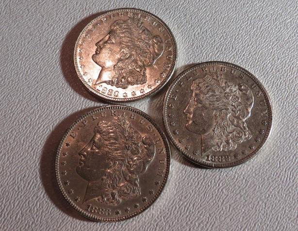 1880 s 1882 s 1883 p High Grade Morgan Dollars: This lot of from a long time hoard of a Pacific Northwest Investor. These coins have been out of the market for a number of years. You are buying the exact lot in the photo. USE YOUR JUDGEMENT TO EXAC