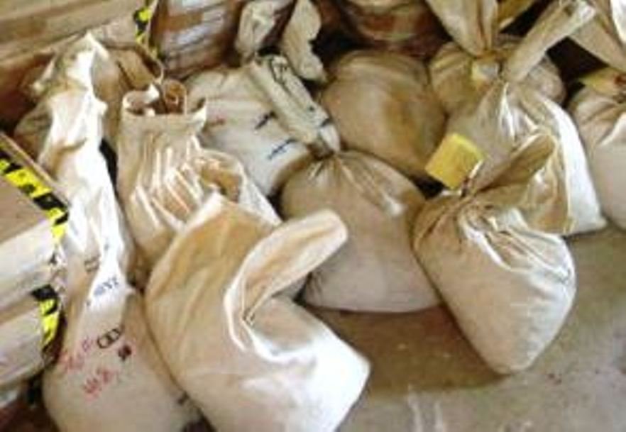 Bank Bag Full of (223) Unsearched Morgans -: This lot has come to us tied up in a bank bag - We have thirty of them, based upon weight and the outer count markings we are stating 223, we are selling them as is. UN opened! Un searched by us! Neve