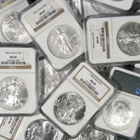 Lot of (10) MS 69 US SIlver Eagles NGC, PCGS, IGA (1 of 1)