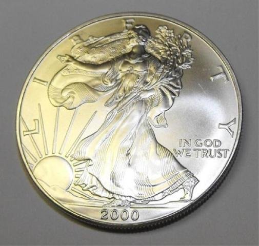 Silver Eagle Bullion Coin- Random Year (1 of 1)