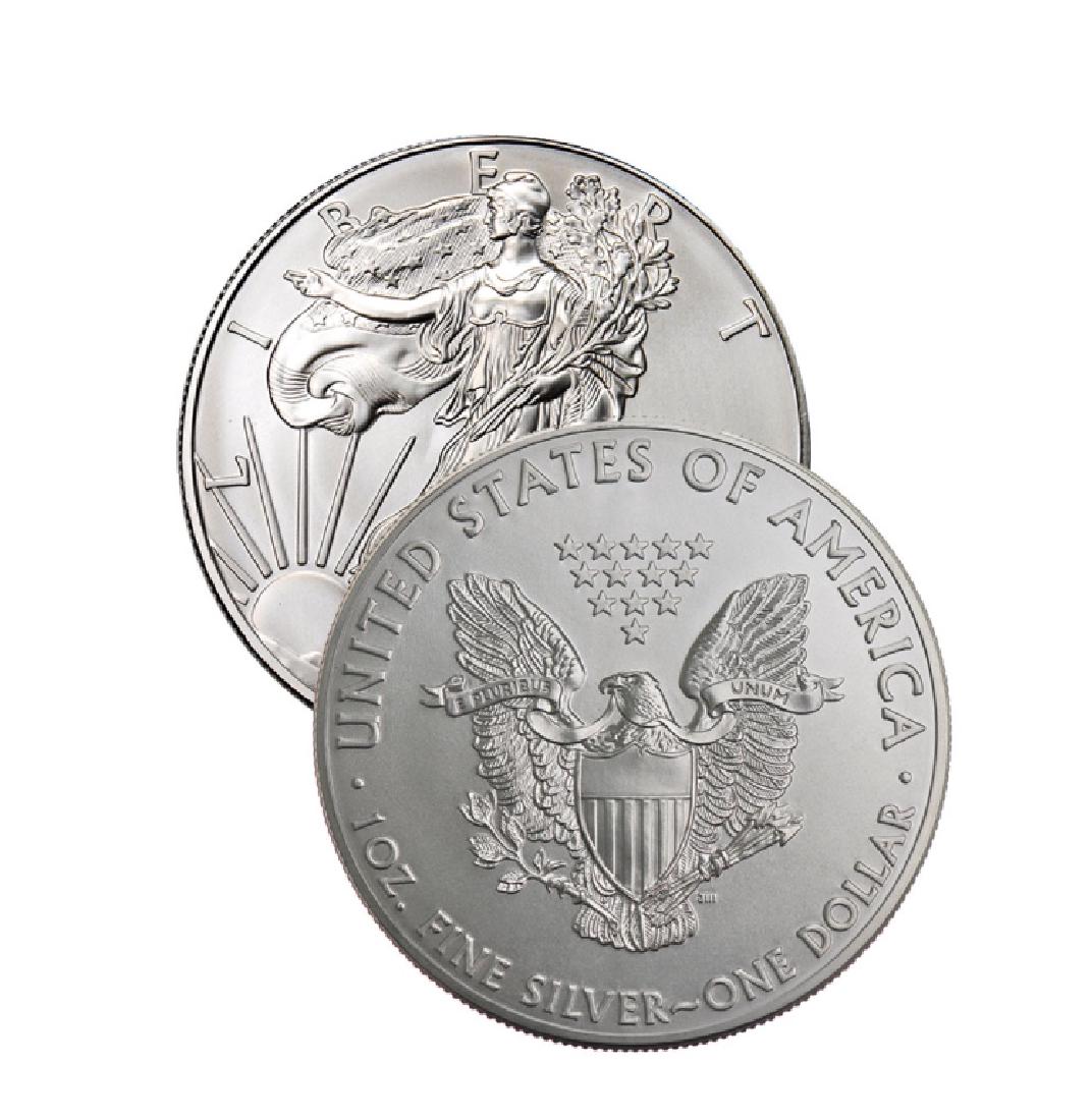 Random Date US Silver Eagle - 1 oz (1 of 1)