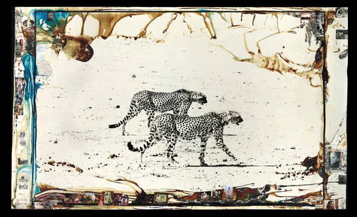 PETER BEARD Huntng Cheetahs on the Tarn Desert: PETER BEARD Huntng Cheetahs on the Tarn Desert, Measures 21.00 X 36.00 Inches, Unknown printing date.