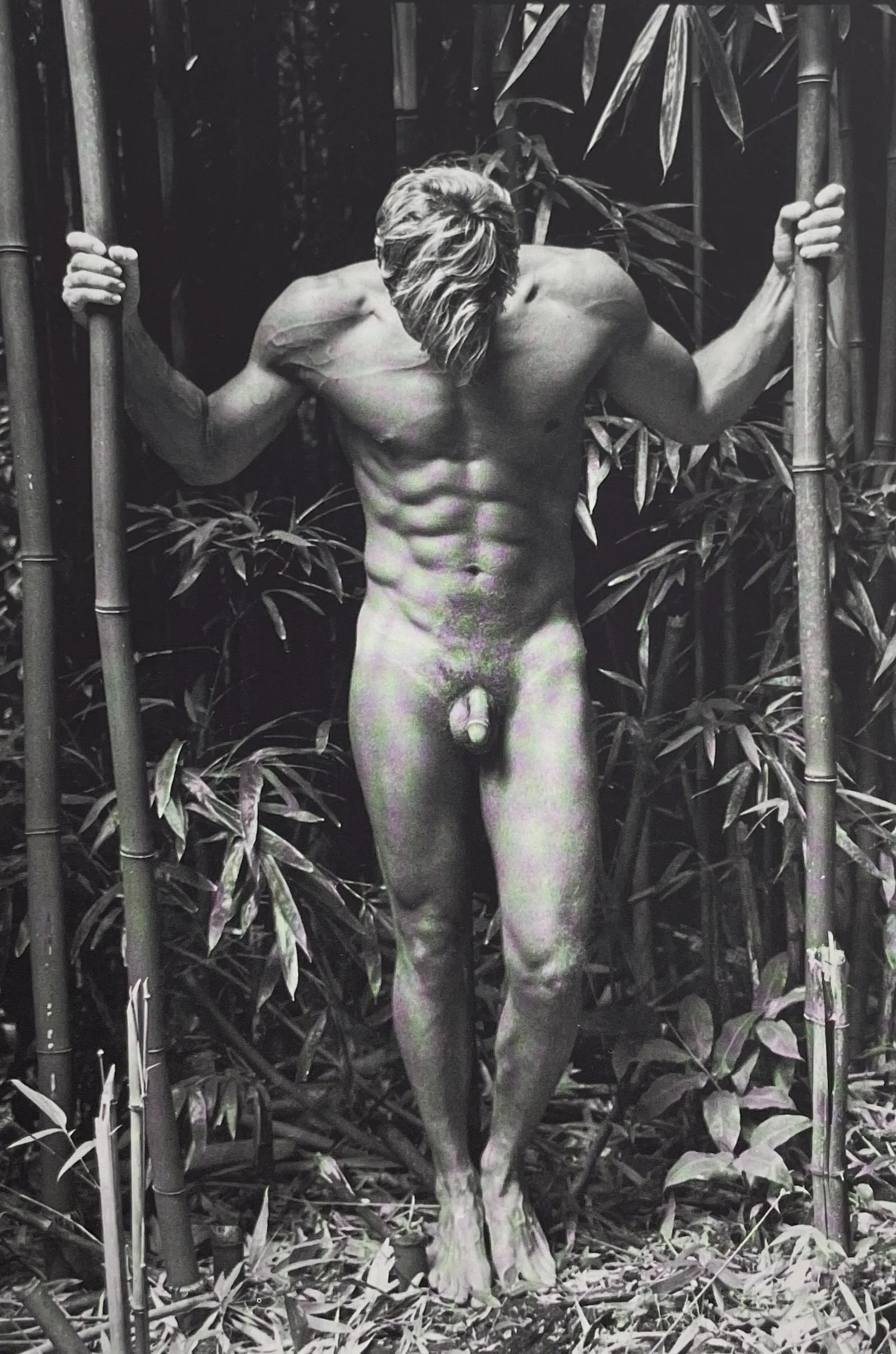 Tom Bianchi - John in Bamboo (1 of 1)