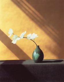 Robert Mapplethorpe " White Longstem Flower" Print