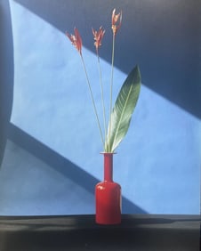 Robert Mapplethorpe "Flowers" Print