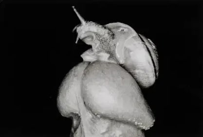 Nobuyoshi Araki - Untitled