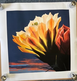 Ed Mell "Cactus Flower" Print