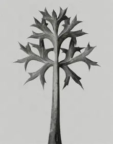 Karl Blossfeldt "Flower" Print.