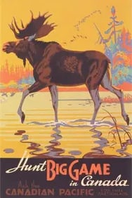 Canada Travel Poster, Moose