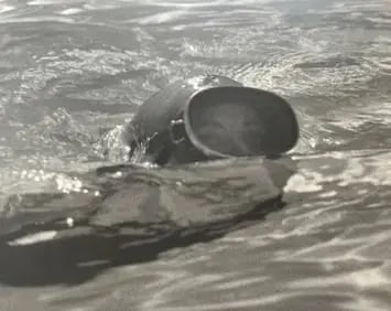 Henri Cartier-Bresson "Alberto Giacometti, Walking Man" Print