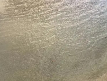 Richard Misrach "Backstroke" Print