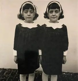 Diane Arbus (Identical Twins, Roselle NJ) Print