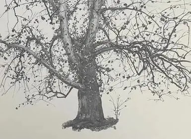 Andrew Wyeth "New Leaves, 1941" Offset Lithograph