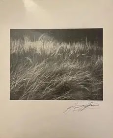 Ansel Adams "Untitled" Print