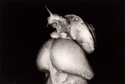 Nobuyoshi Araki - Untitled