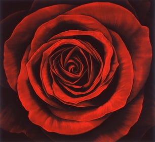 Robert Longo "OPHELIA"