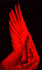 Robert Longo, THESEUS WING
