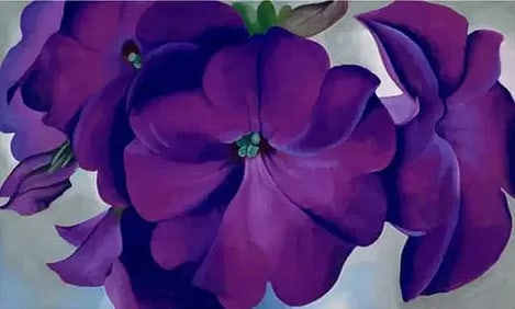 Georgia O'Keeffe "Petunias, 1925" Print.