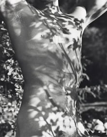 Bruce Weber - Tyke, 1988