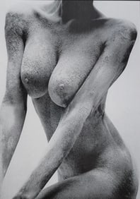 Lighting the Nude, 2010