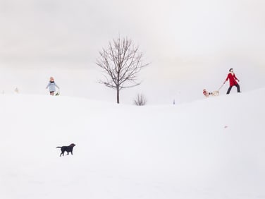 JULIE BLACKMON 'LOST MITTEN' PRINT