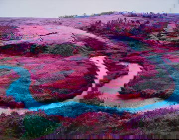 RICHARD MOSS UNTITLED PHOTO PRINT