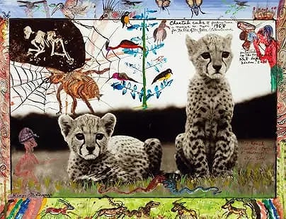 Peter Beard - Orphaned Cheetah Cubs, 1968: Peter Beard - Orphaned Cheetah Cubs, 1968, Measures 8 1/4" x 12", Photo Print. Professionally Mounted