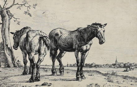Paulus Potter Dutch 1625-1654 Etching The Plough Horse 3rd State (1 of 2)