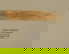 item-209059101=3