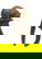 item-209059146=1