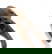 item-209059146=5