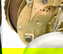 item-209059176=4