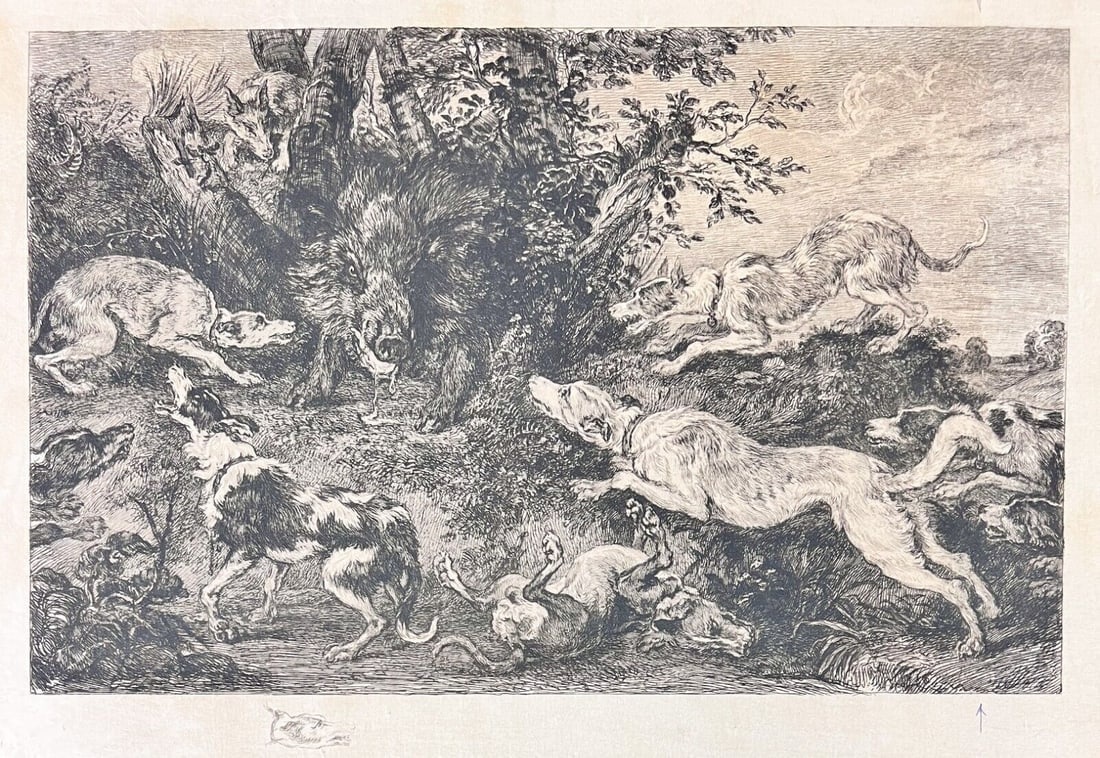 after Frans Snyders etching The Boar Hunt by William Unger: Etching by William Unger, after Frans Snyders (1519-1657) titled, 'The Boar Hunt', landscape with dogs surrounding a wild boar. Print is mounted onto paperboard. Unframed. (FB1) Measurements: Approx.