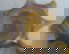 item-210908011=10