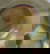 item-210908011=13